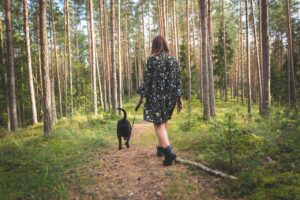 Wandelen op Noord-Beveland